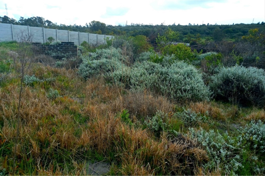 0 Bedroom Property for Sale in Albertinia Western Cape